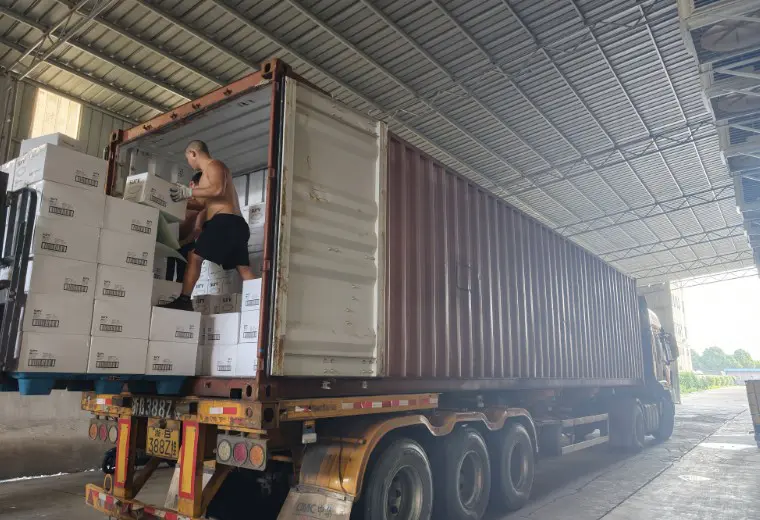 Kosda, lipanj 2026. Izvoz proizvoda od papira s dva spremnika | Ningbo